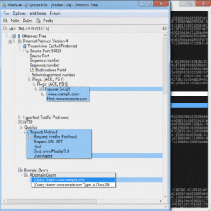 Wireshark assembles every protocol from the ground up.
